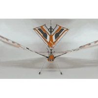 XFly - The first sensor-assisted ornithopter drone